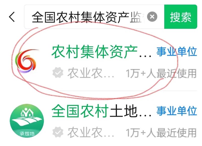 村民委员会：新时代乡村治理的中坚力量